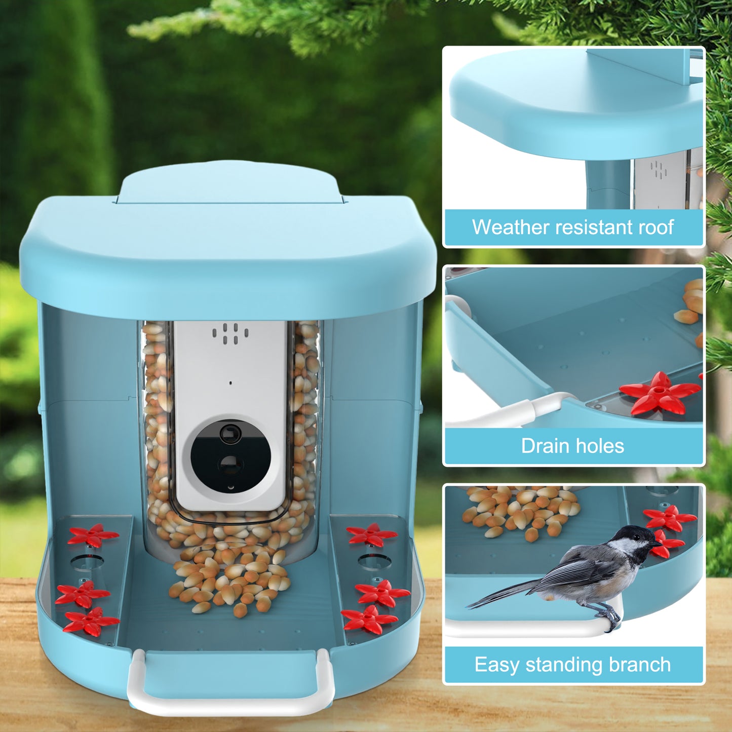 Smart Bird Feeder with AI Camera Solar Powered Hummingbird Feeder