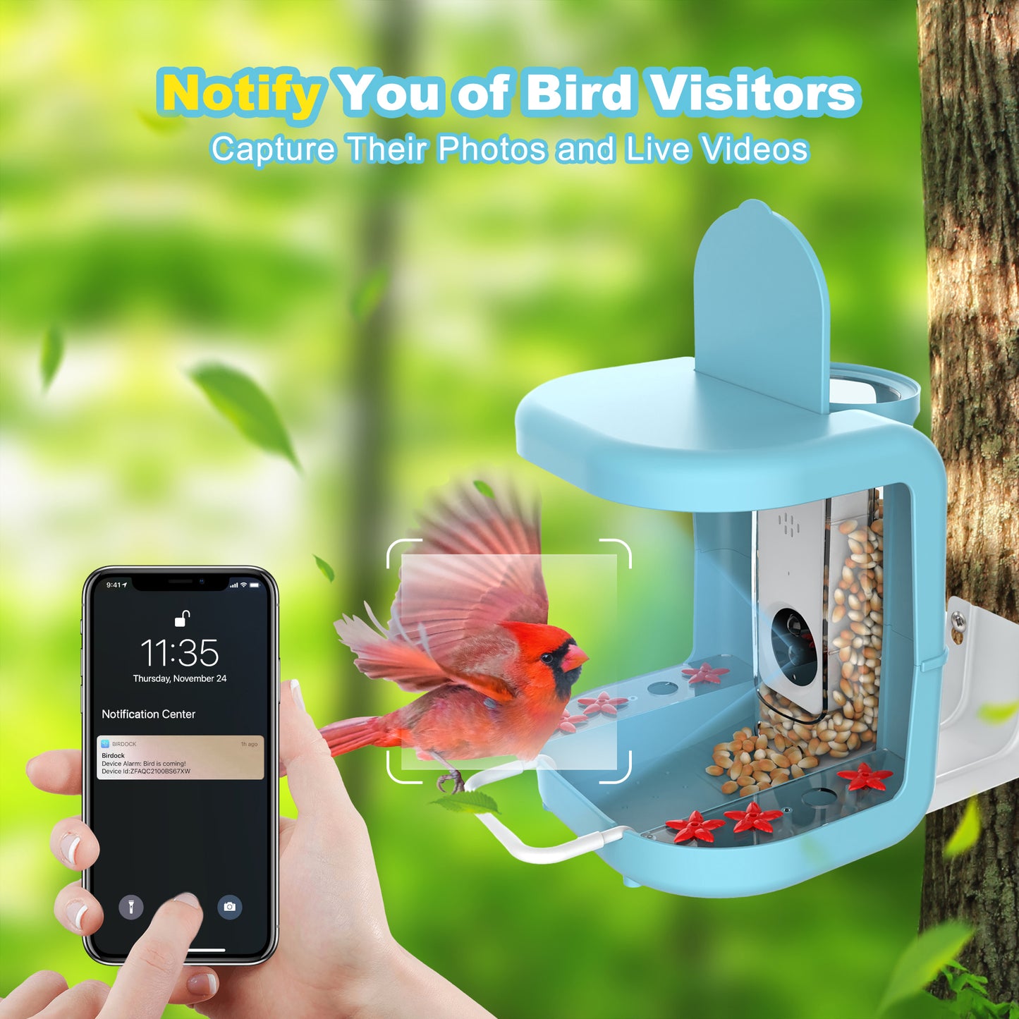 Smart Bird Feeder with AI Camera Solar Powered Hummingbird Feeder